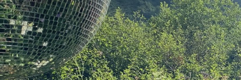 Addrich Mauch banner