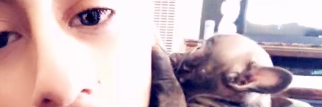 FernyTYB's profile banner image