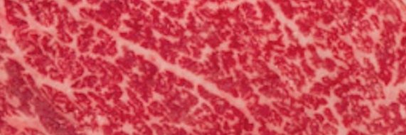 Esteban Garrido banner