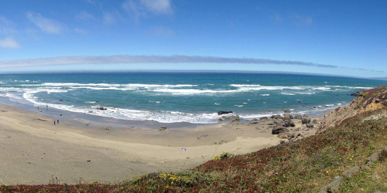 Lindsey Gallas banner