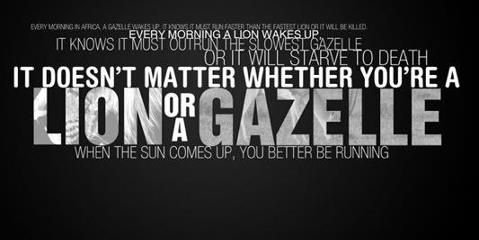 Brandon Manzer banner