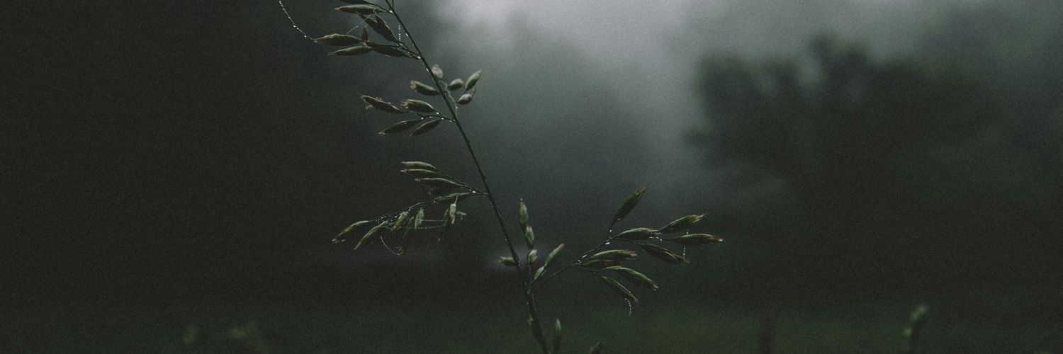 chancebonacci19's profile banner image