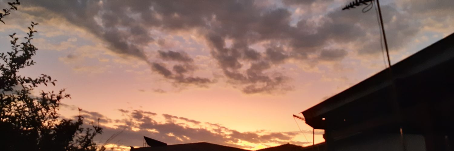 N2t_Alexandre's profile banner image