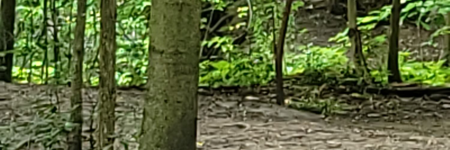 EdThinksmart's profile banner image