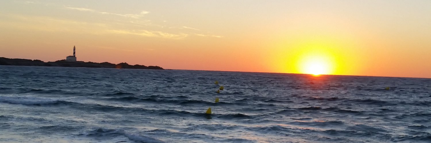 Francesc Matas Salla banner