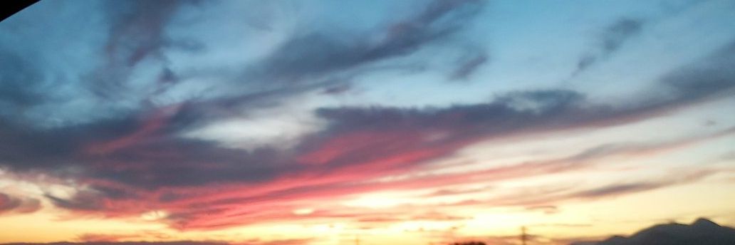 LauraMuz24's profile banner image