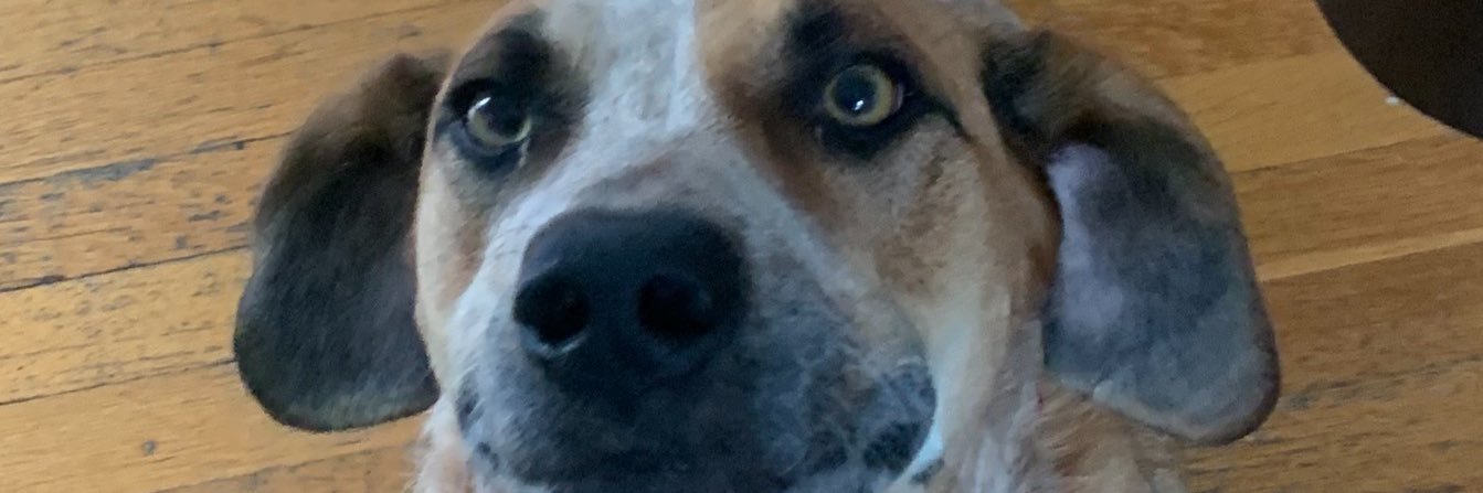 twiitterhandle's profile banner image