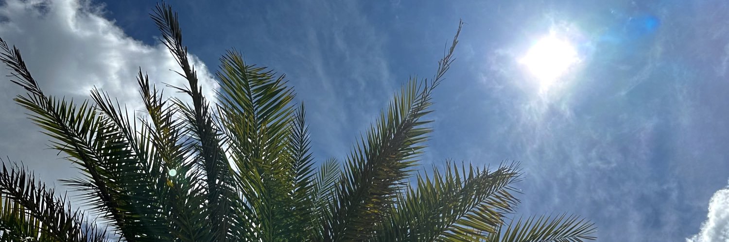 Stacyce's profile banner image