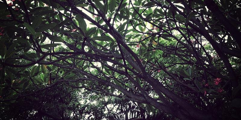 kenseylamb's profile banner image
