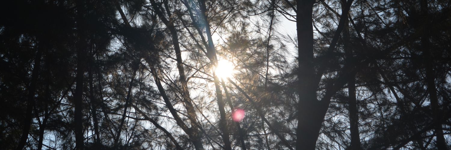 aaronjayquitain's profile banner image