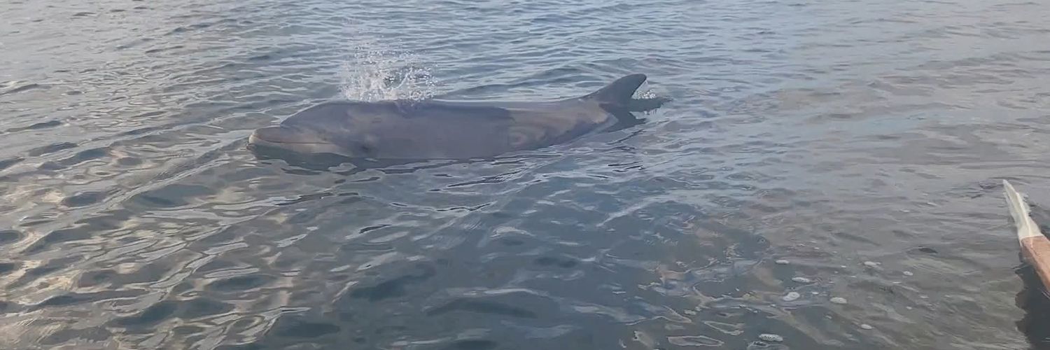 Richard Pearson banner