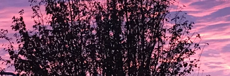 scorchedwalker's profile banner image