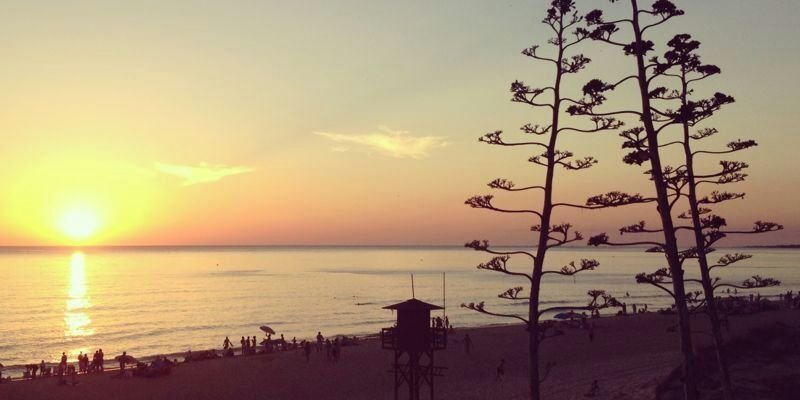 iildee_4's profile banner image