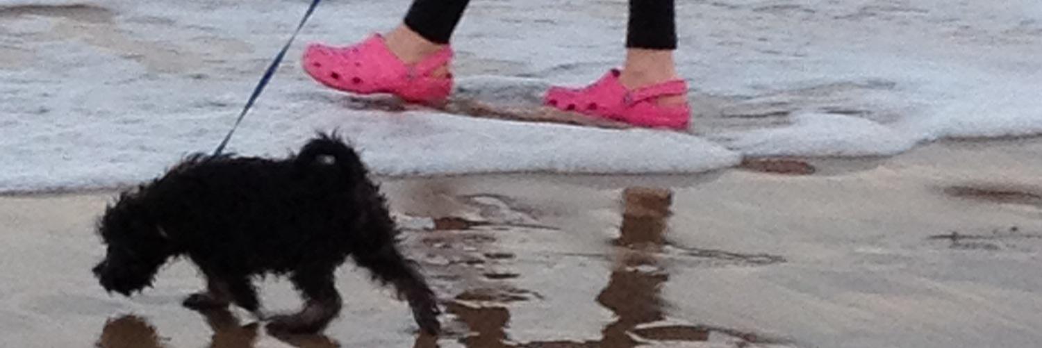 Get Your Tots Out banner