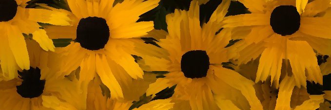 Paranormality banner