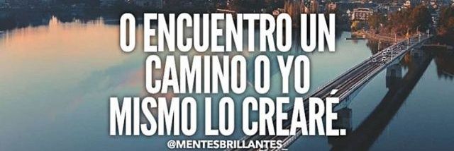 portento_fox's profile banner image