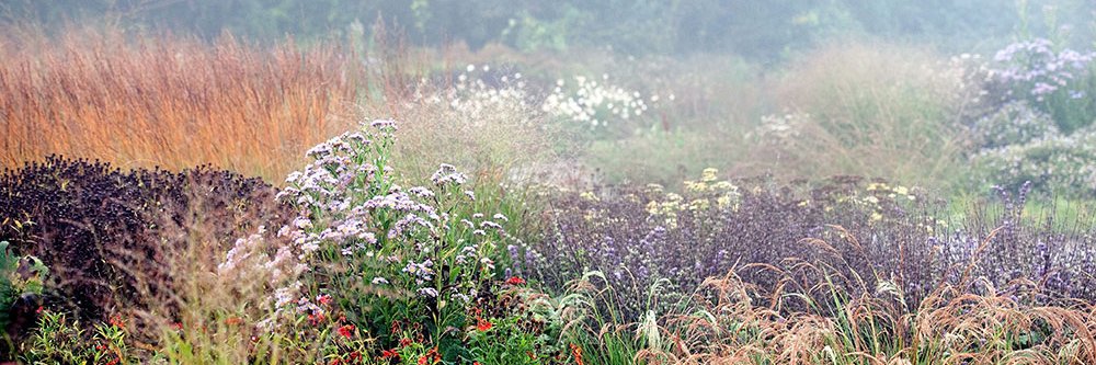 Sandra O’Connell banner