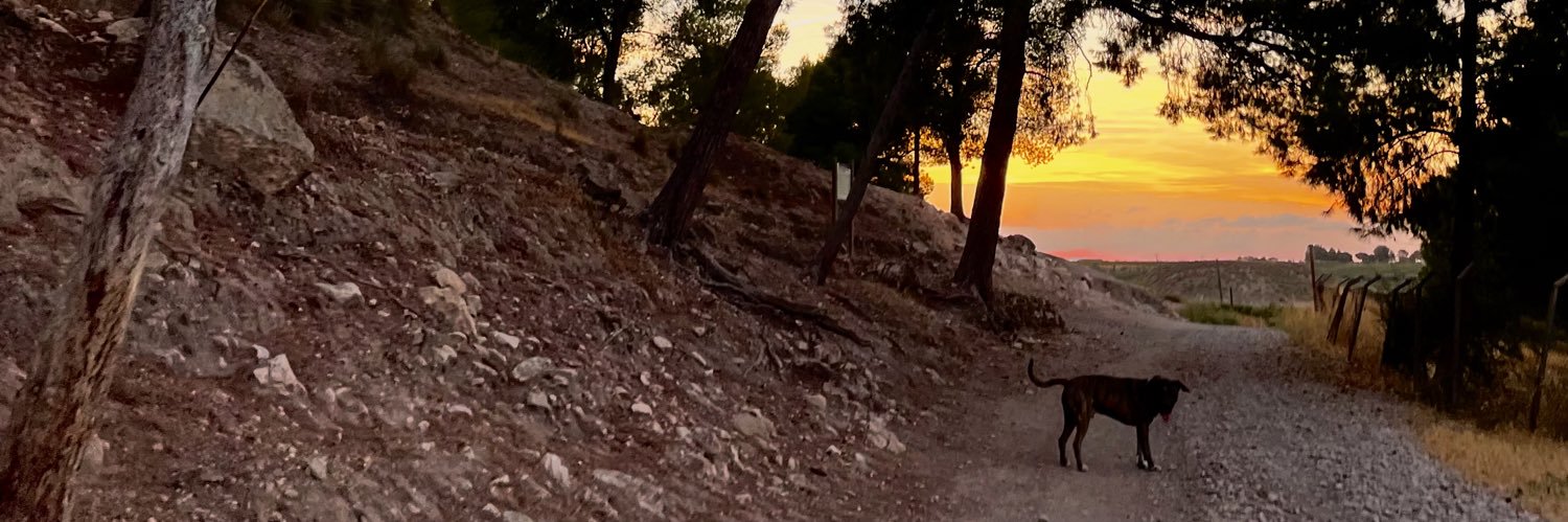 joaquinATM's profile banner image