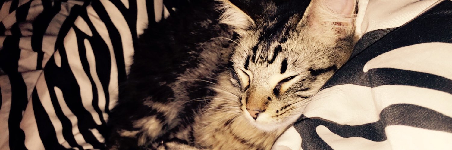 BakerHallie's profile banner image