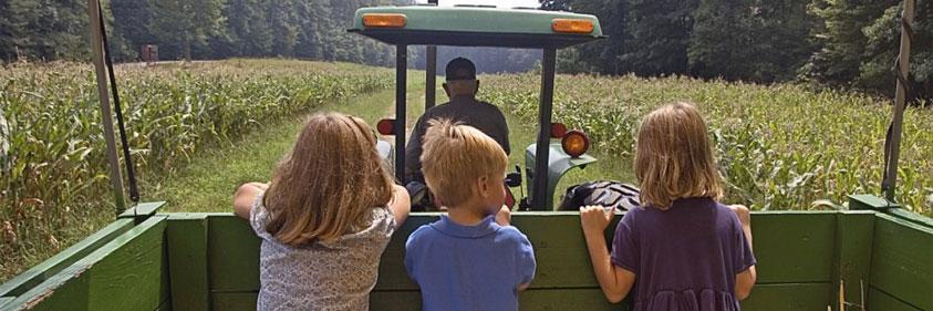 farmings_future's profile banner image