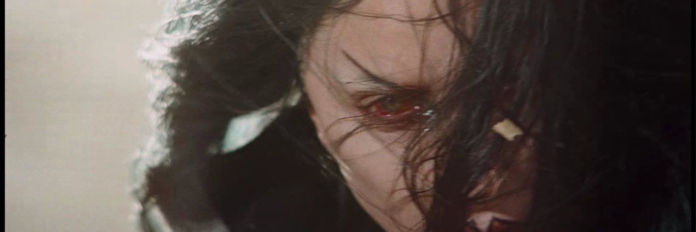 vini brig∀s banner