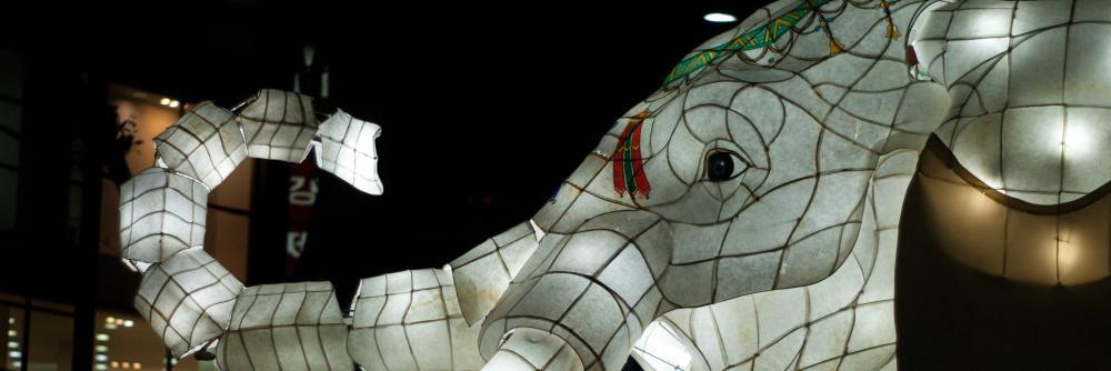 PeterFairfax's profile banner image