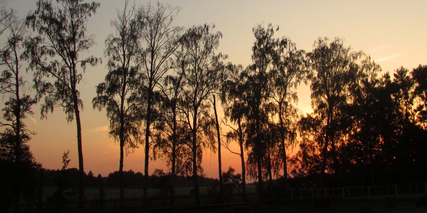 ISdergran's profile banner image