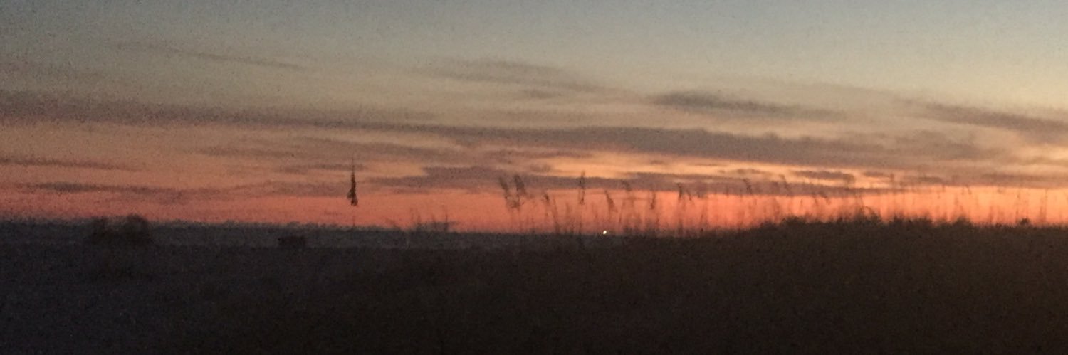 Crystal Scrivner banner