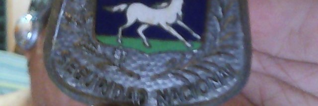 elpajaro65's profile banner image