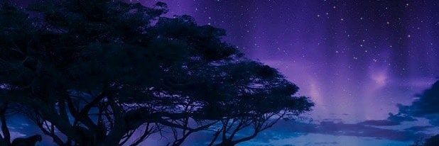 Leon S. Kennedy banner