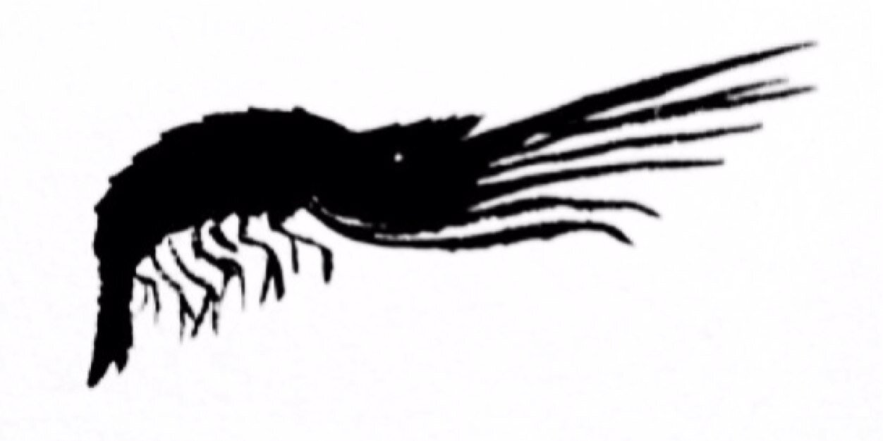 MaximillianChow's profile banner image