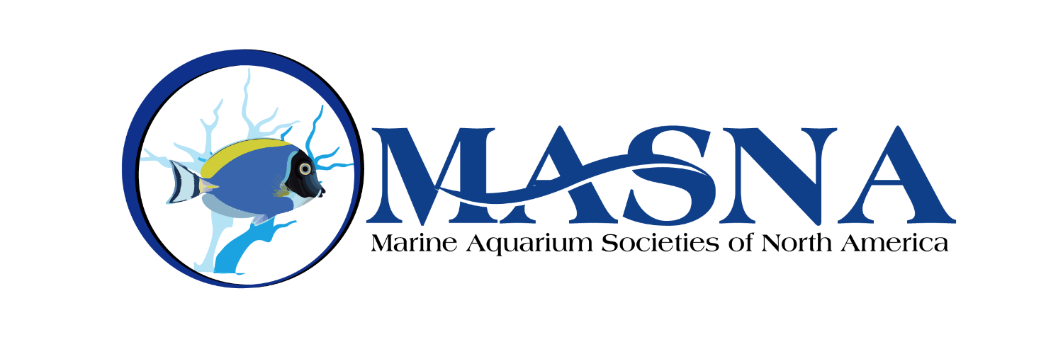 MASNA banner