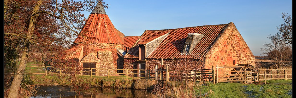 Catriona Gill banner