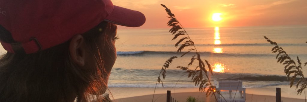 Risa__Rose's profile banner image