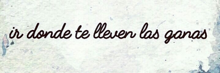 SofiMerroMcLean's profile banner image