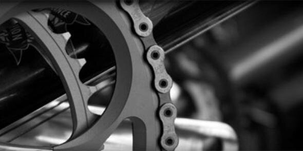 Frans de Vries banner