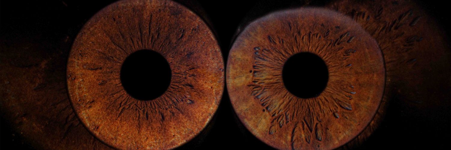 _cakiru's profile banner image