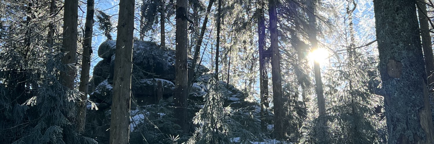 bdh🕷🦁🐴 🇪🇺🇫🇷🇩🇪🇮🇹🇨🇭🇪🇸🇬🇧 banner