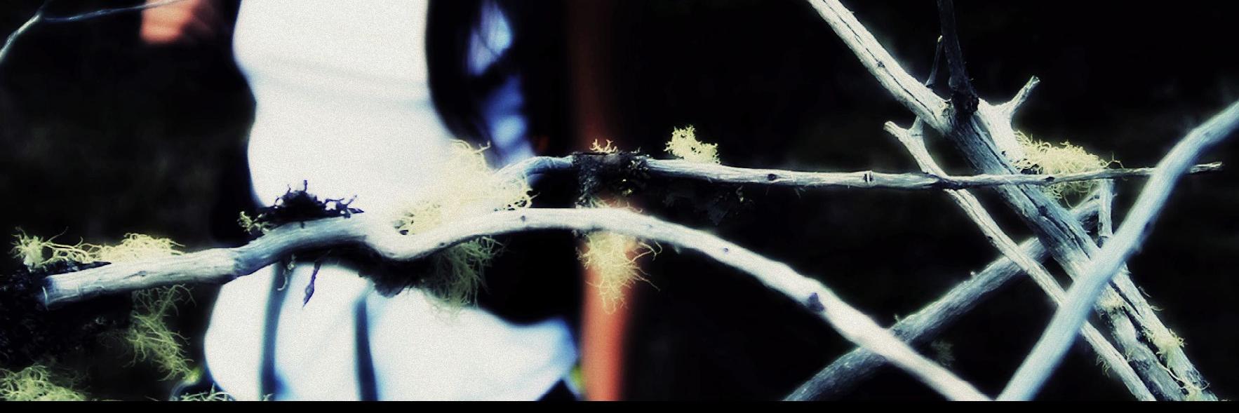 florenferretto's profile banner image