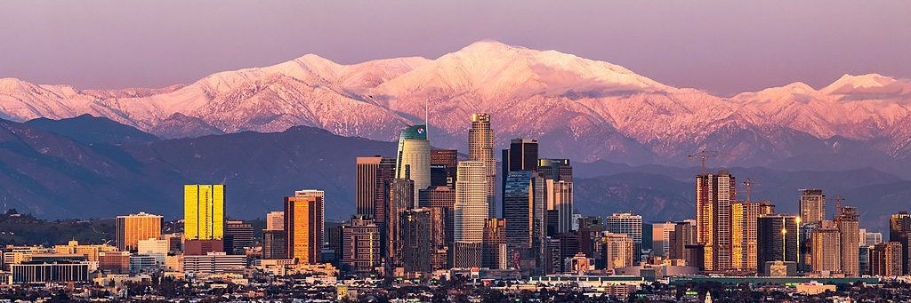 Policy & Puck 😷 banner