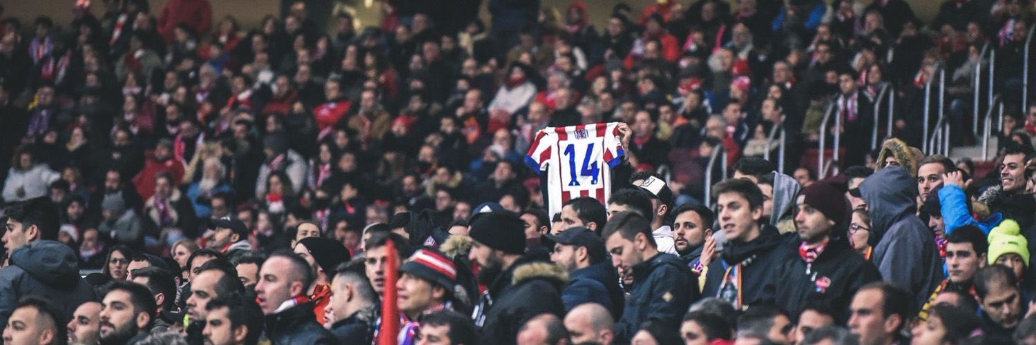 dami banner