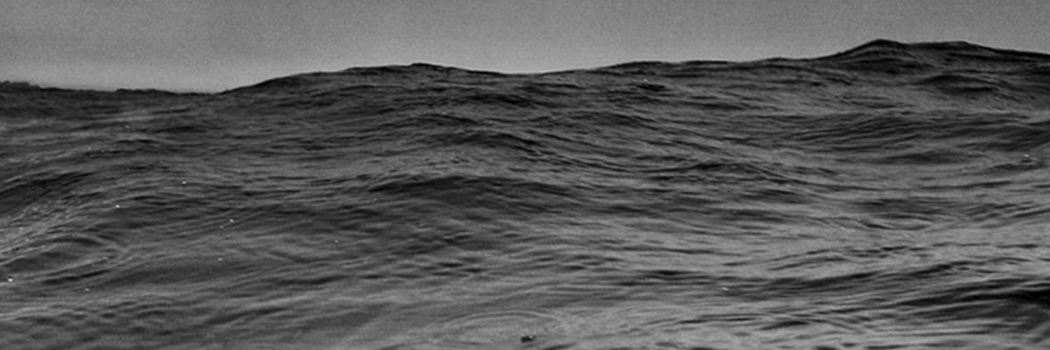 Dark Seas Division banner