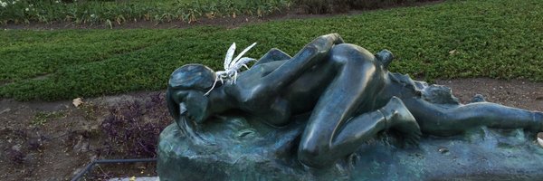 diegomoralesvit Profile Banner