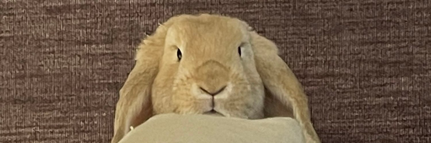 Clv_x's profile banner image