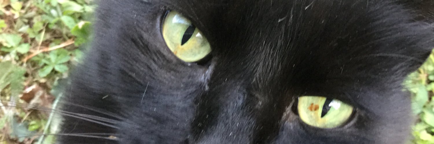 fabala25's profile banner image