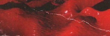 flexasaurus___'s profile banner image