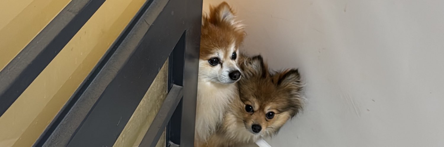 JocelynPsds's profile banner image