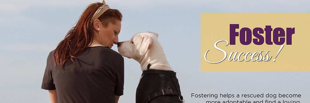 LastDayDogs's profile banner image