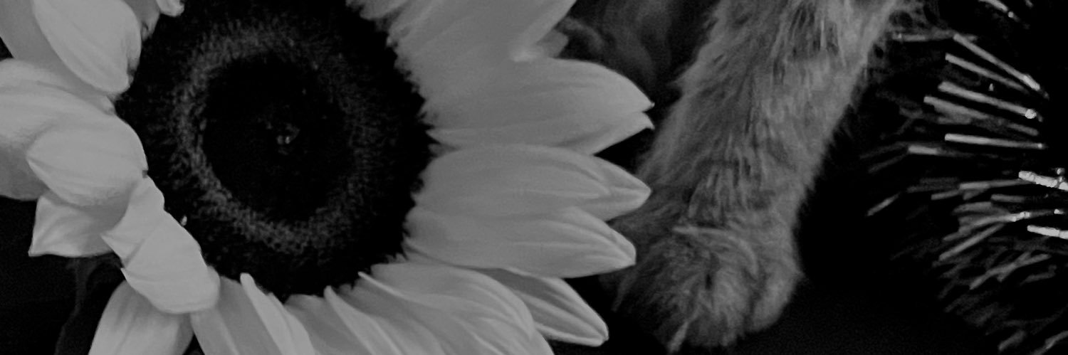 adrmnt's profile banner image