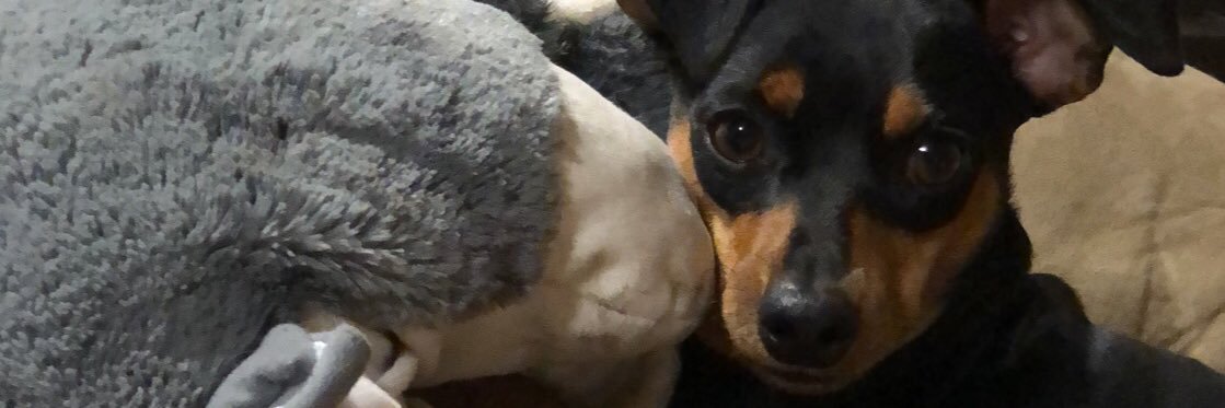 JoshHnat's profile banner image